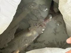 -沪依小酒馆心意菜