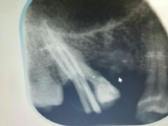 -泰康拜博口腔(世博园乐尔店)