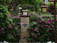 -木塔寺遗址生态公园
