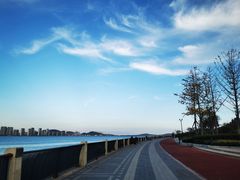 -星光岛