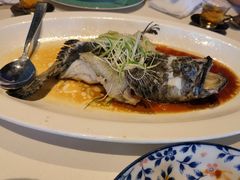 葱油蒸沙巴斑-三号黄浦会Canton Table