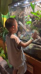 -酷嗒动物文化乐园(cutezoo西溪乐天城店)