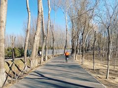 -东郊湿地公园