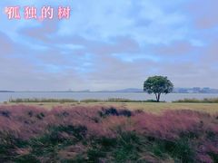 -苏州东太湖生态园