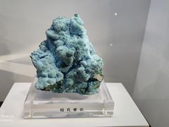 -中国地质大学逸夫博物馆