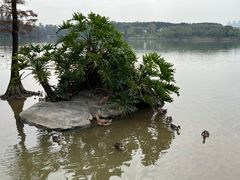 -海珠湖公园