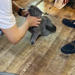 -青木造型HAIR·あおき髪を刈る潮人店