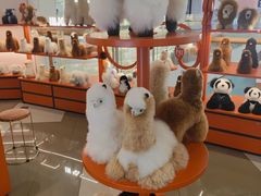 -IPSTAR|潮玩星球(天府广场店)