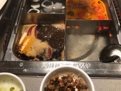 -海底捞大排档火锅(悦荟广场店)