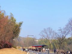 -牛首山文化旅游区