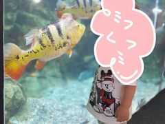 -北京海洋馆