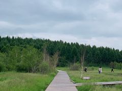 -塞罕坝国家级自然保护区