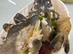 清蒸石斑鱼-板桥海鲜广场(文明东店)