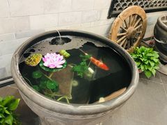 -龙隆昌·鲜品火锅·江湖烤鱼