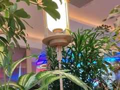 -桂满陇·蟹黄小笼汤包(清河万象店)
