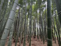 -同里国家湿地公园