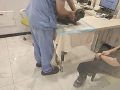 -艾吉宠物医院·疑难杂症转诊中心·猫友好(碧江路院)