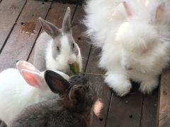 -HERRE·FARM 赫尔露营农场·团建聚会包场