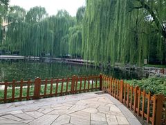-玲珑塔公园