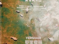 -耶里夏丽·丝路新疆菜·清真食品(徐汇南丹东路臻选店)