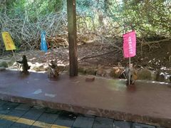 -南湾猴岛+椰田古寨一日游