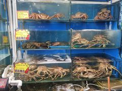 水产区-蚝专家(北滘店)