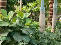 -南宫五洲植物乐园