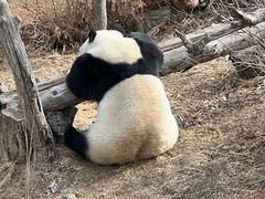 -青藏高原野生动物园
