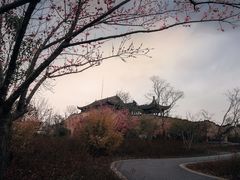 -广富林郊野公园