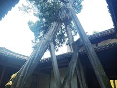 -太平天国侍王府