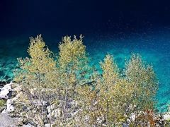 -叠溪松坪沟景区