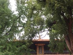 -宝通禅寺