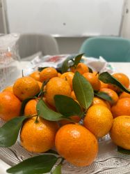 -芭贝诺产后修复(石芽岭花城店)