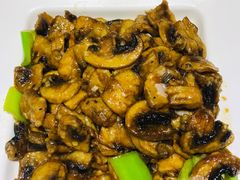 酱烧口蘑-泡椒食堂