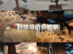 -扬州科技馆