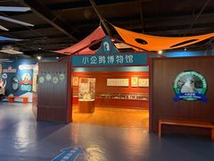 -海合安武汉极地海洋公园