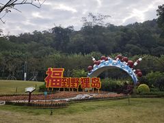 -野狸岛