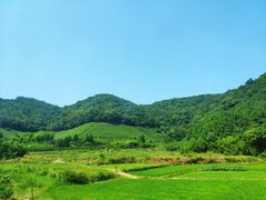 -黄贤森林公园