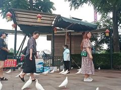 -国色天乡三期陆地乐园