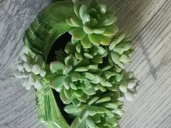 -宏状元现熬粥·京味菜(三里河店)