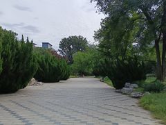 -元大都城垣遗址公园