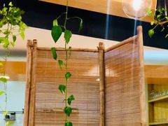 -柴务处·柴犬主题狗咖