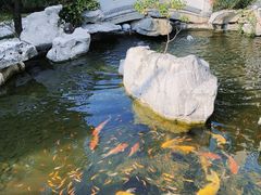 -扬州香格里拉·香宫中餐厅