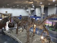 -国家自然博物馆