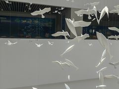 -中国湿地博物馆