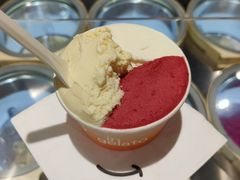 -Dip in Gelato(富民路店)
