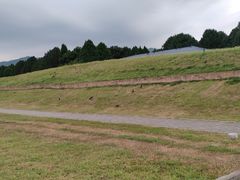 -秦始皇帝陵博物院-丽山园