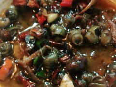 -汉森熊啤酒屋(双塘东路店)