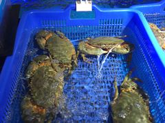 -盒马鲜生(岭南新世界店)