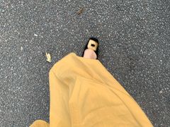 -东莞植物园